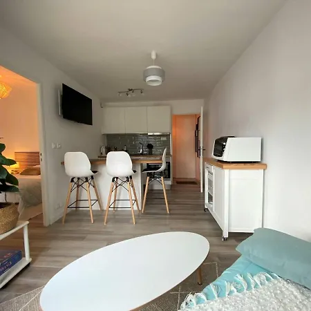 Renove A 20m De La Plage, Balcon Expose Sud, Garage Prive - - Fr-1-368-377 Apartment *
